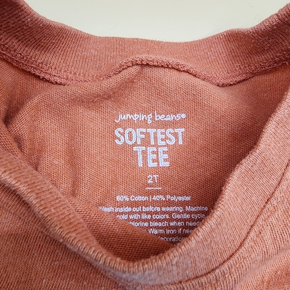 Jumping Beans Carter's 2T Clothing Lot Mixed Shorts Shirts Toddler - Picture 7 of 10